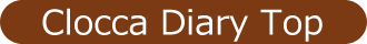 Clocca Diary Top